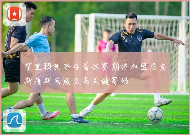 霍里预测字母哥休赛期将加盟尼克斯唐斯或成交易关键筹码