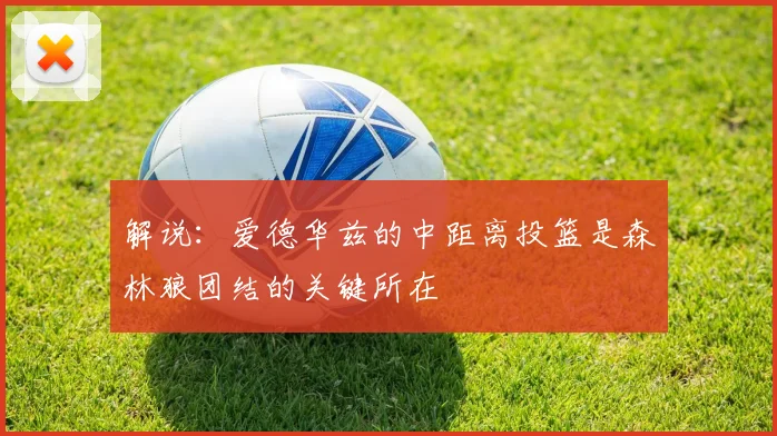 解说：爱德华兹的中距离投篮是森林狼团结的关键所在