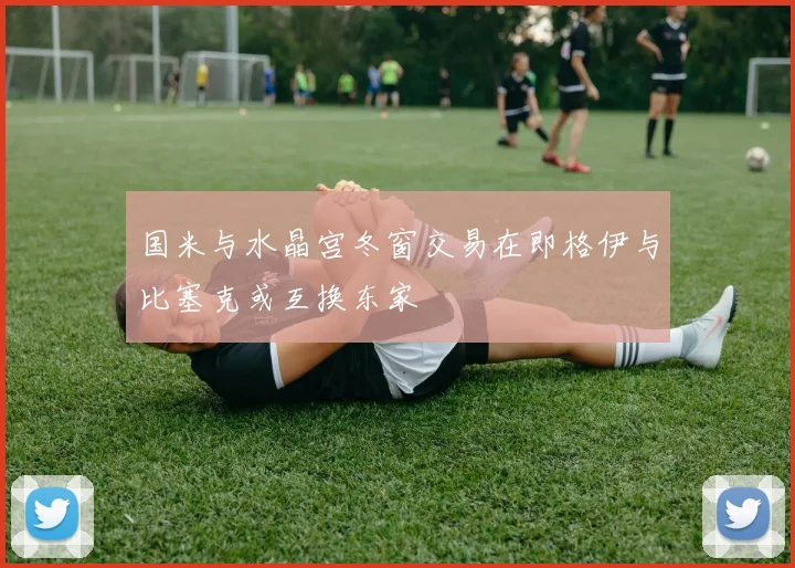 国米与水晶宫冬窗交易在即格伊与比塞克或互换东家