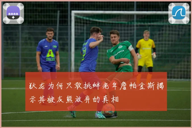 狄龙为何只敢挑衅老年詹帕金斯揭示其被灰熊放弃的真相
