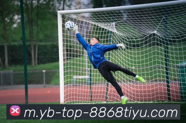 8868体育APP 封面图