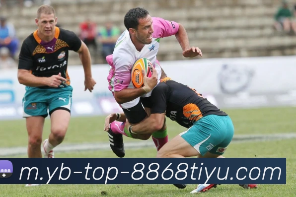 数据防护可视化